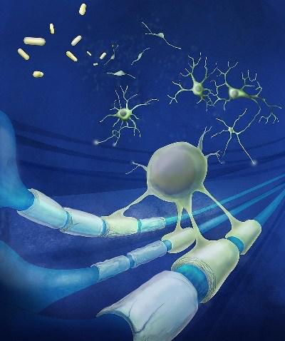 15320454889500353WXZ.png 圖片9.png