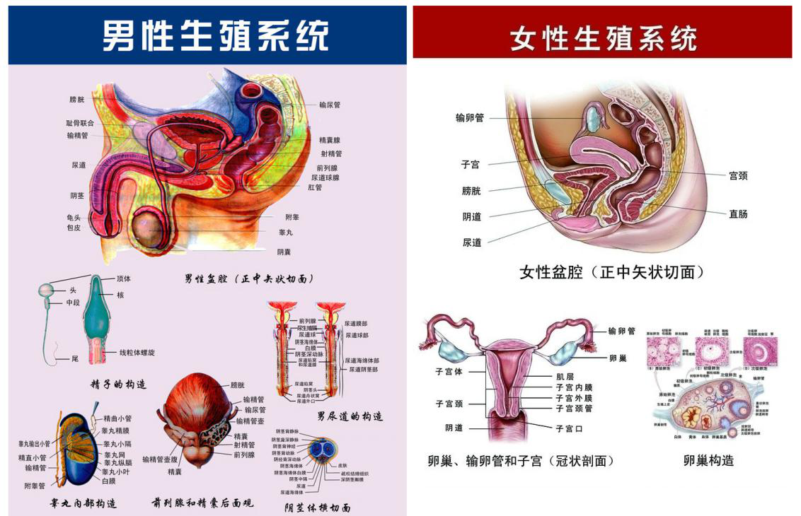 1532051574431300tnep.png 圖片184.png