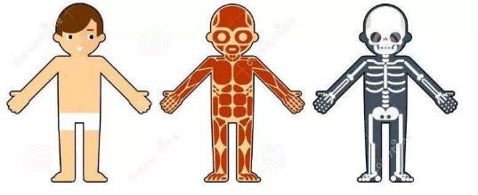 1557371131720868VZY0.png 圖片4.png