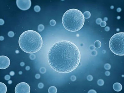 15722288672479388Ihd.png 圖片4.png